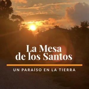 Que es lo mejor de La Mesa de los Santos en Santander ?